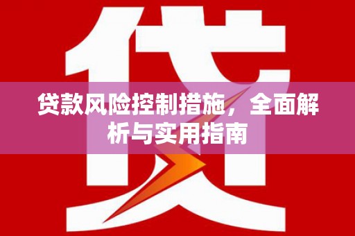 桃山贷款风险控制措施，全面解析与实用指南