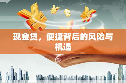 桃山现金贷，便捷背后的风险与机遇