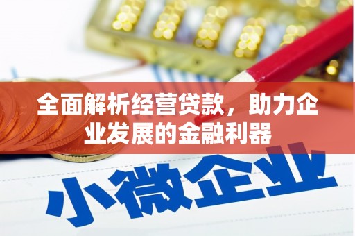 桃山全面解析经营贷款，助力企业发展的金融利器