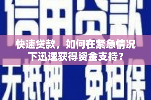 桃山快速贷款，如何在紧急情况下迅速获得资金支持？