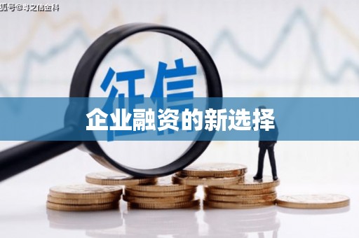 桃山企业融资的新选择