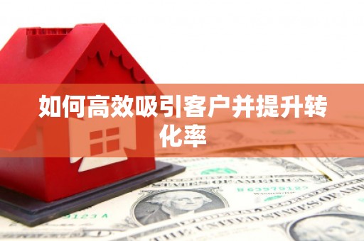 桃山如何高效吸引客户并提升转化率
