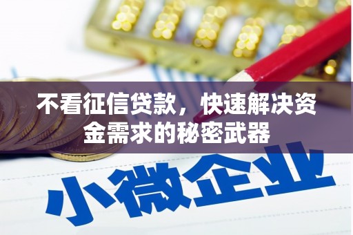 桃山不看征信贷款，快速解决资金需求的秘密武器