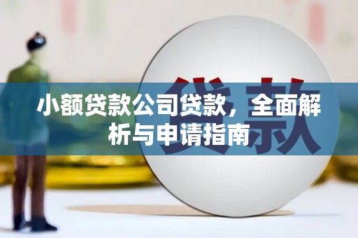 桃山小额贷款公司贷款，全面解析与申请指南