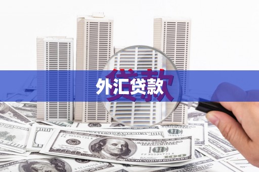 桃山外汇贷款