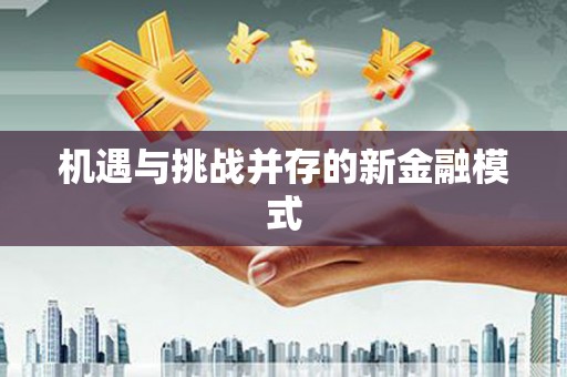 桃山机遇与挑战并存的新金融模式
