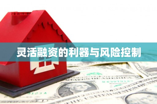 桃山灵活融资的利器与风险控制