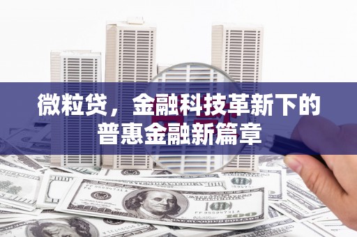桃山微粒贷，金融科技革新下的普惠金融新篇章