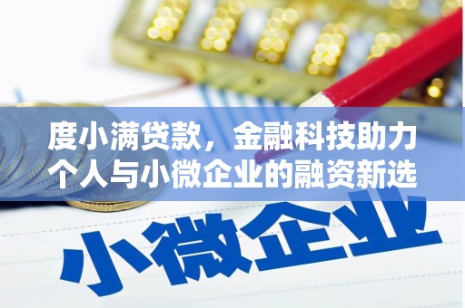 桃山度小满贷款，金融科技助力个人与小微企业的融资新选择