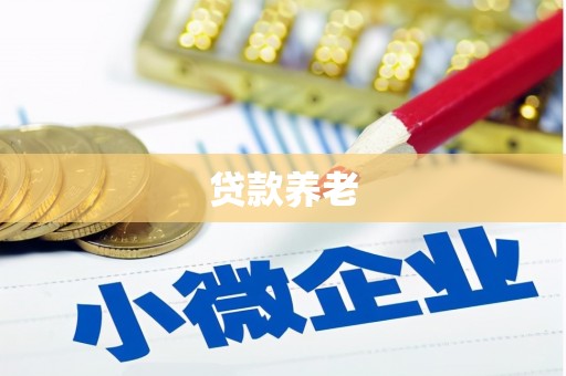 桃山贷款养老