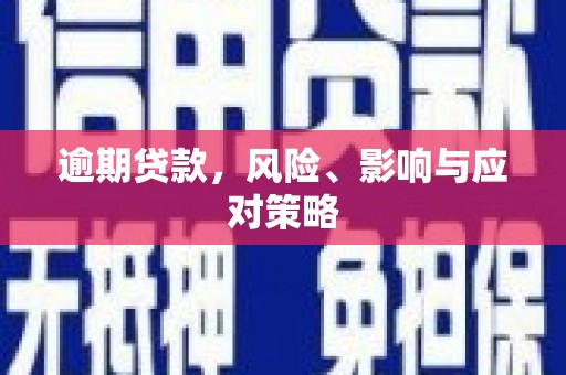 桃山逾期贷款，风险、影响与应对策略
