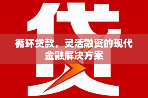 桃山循环贷款，灵活融资的现代金融解决方案