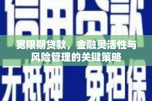 桃山宽限期贷款，金融灵活性与风险管理的关键策略