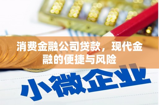 桃山消费金融公司贷款，现代金融的便捷与风险