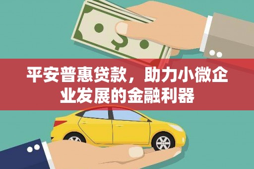 桃山平安普惠贷款，助力小微企业发展的金融利器