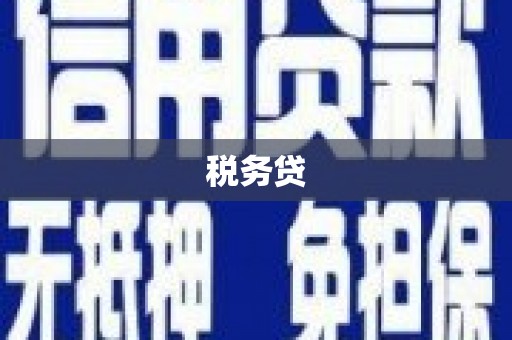 桃山税务贷