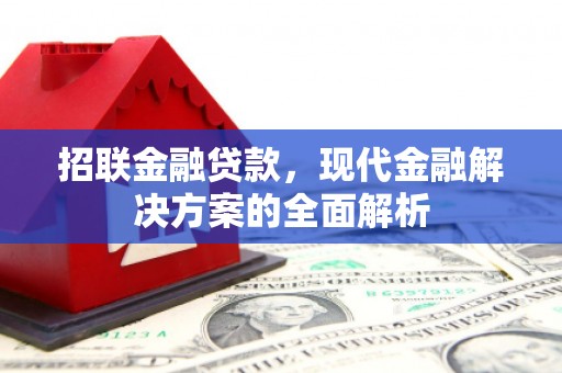桃山招联金融贷款，现代金融解决方案的全面解析