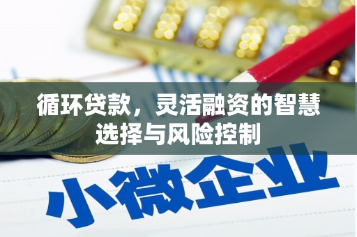 桃山循环贷款，灵活融资的智慧选择与风险控制