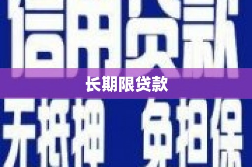 桃山长期限贷款
