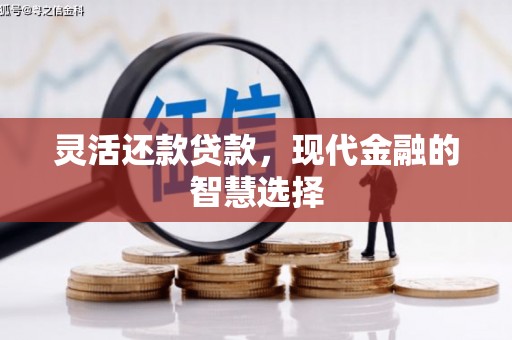 桃山灵活还款贷款，现代金融的智慧选择