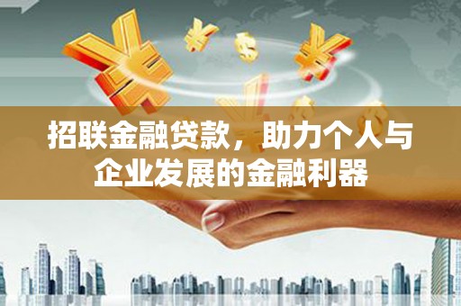 桃山招联金融贷款，助力个人与企业发展的金融利器