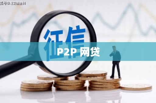 桃山P2P 网贷