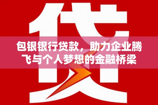 桃山包银银行贷款，助力企业腾飞与个人梦想的金融桥梁