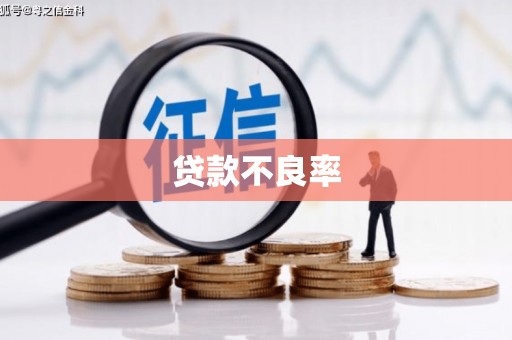 桃山贷款不良率