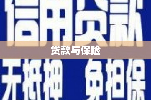 桃山贷款与保险