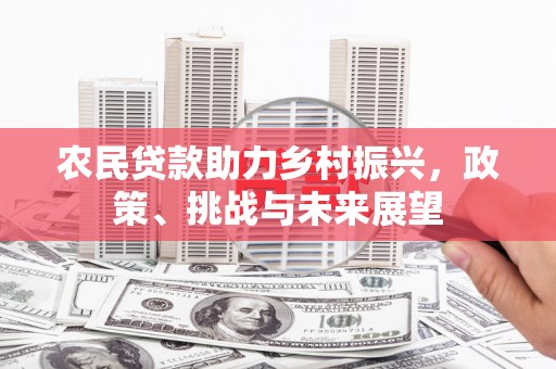 桃山农民贷款助力乡村振兴，政策、挑战与未来展望