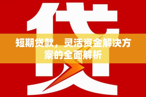 桃山短期贷款，灵活资金解决方案的全面解析