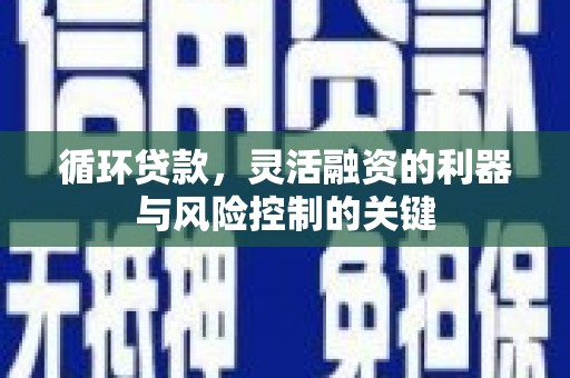 桃山循环贷款，灵活融资的利器与风险控制的关键