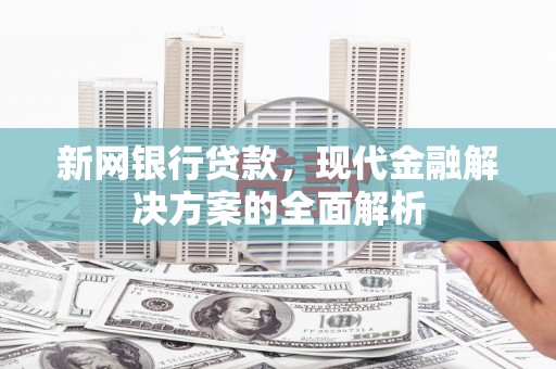桃山新网银行贷款，现代金融解决方案的全面解析