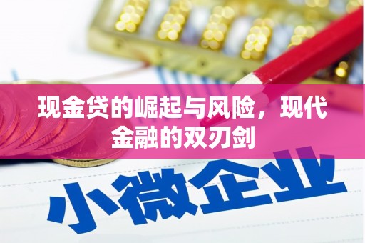 桃山现金贷的崛起与风险，现代金融的双刃剑