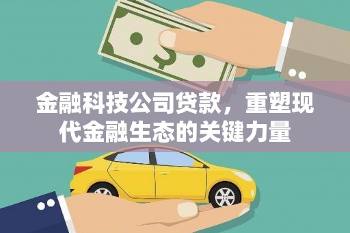 桃山金融科技公司贷款，重塑现代金融生态的关键力量