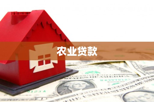 桃山农业贷款