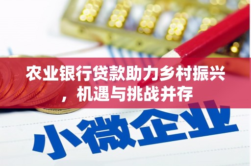 桃山农业银行贷款助力乡村振兴，机遇与挑战并存