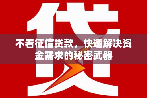 桃山不看征信贷款，快速解决资金需求的秘密武器
