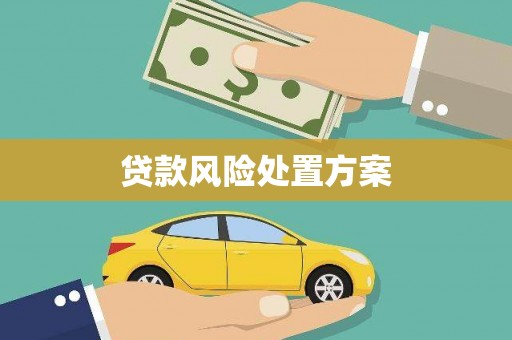 桃山贷款风险处置方案