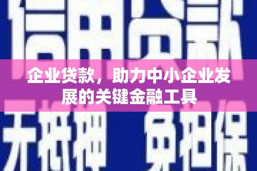 桃山企业贷款，助力中小企业发展的关键金融工具