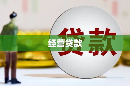 桃山经营贷款