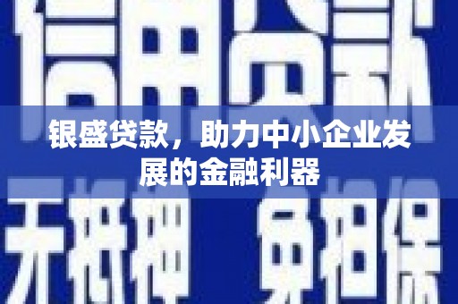 桃山银盛贷款，助力中小企业发展的金融利器