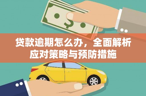 桃山贷款逾期怎么办，全面解析应对策略与预防措施