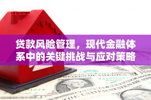 桃山贷款风险管理，现代金融体系中的关键挑战与应对策略