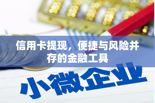 桃山信用卡提现，便捷与风险并存的金融工具