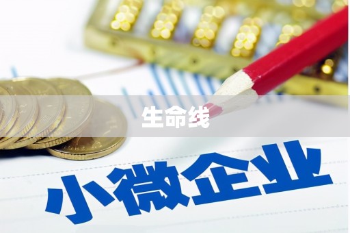 桃山生命线