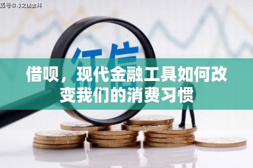 桃山借呗，现代金融工具如何改变我们的消费习惯