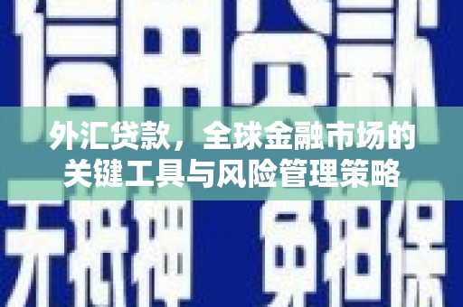 桃山外汇贷款，全球金融市场的关键工具与风险管理策略