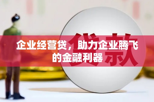 桃山企业经营贷，助力企业腾飞的金融利器