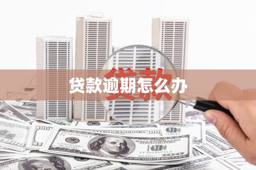桃山贷款逾期怎么办